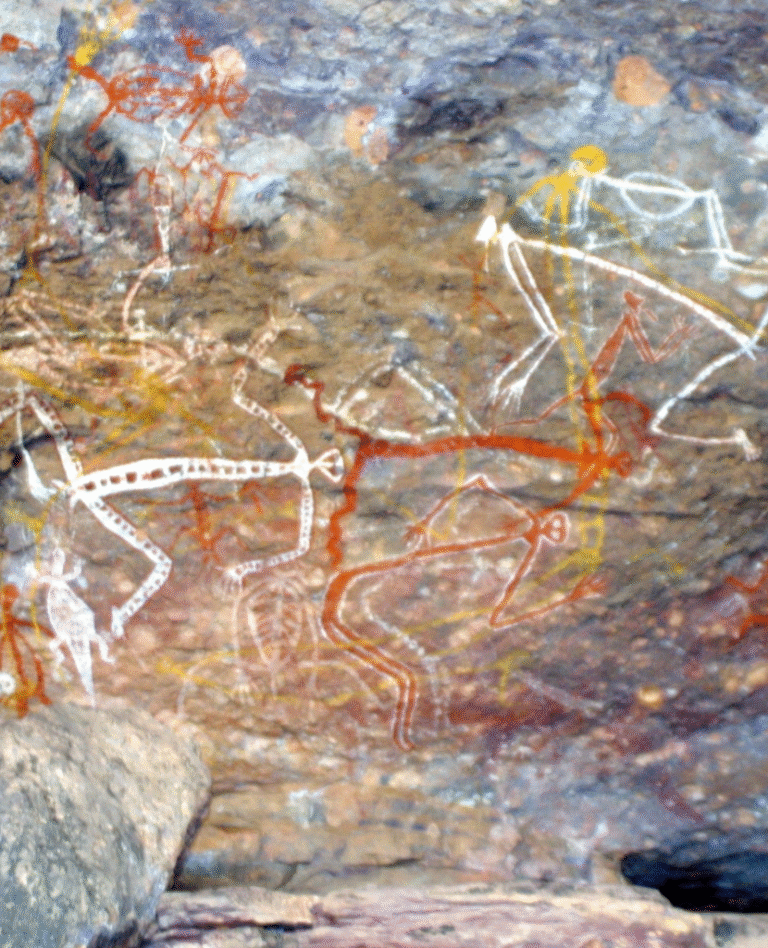 NWC-Aussie-2-website-photos 830 x 1024