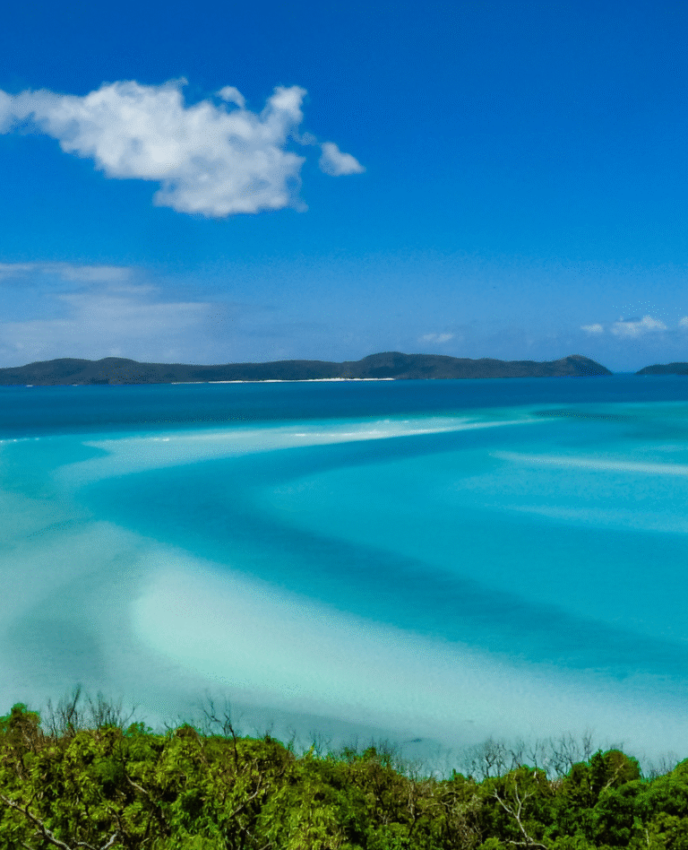 NWC-Aussie-website-photos 830 x 1024